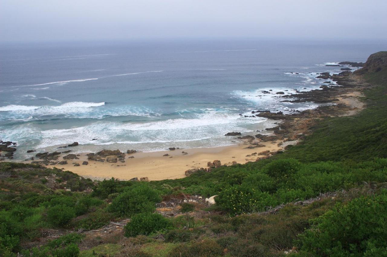 Pinnacle Point Beach & Golf - Penthouse & Villa Mossel Bay Kültér fotó